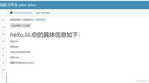 網絡安全第八天深度解析 從文件上傳漏洞到PHP反序列化攻防